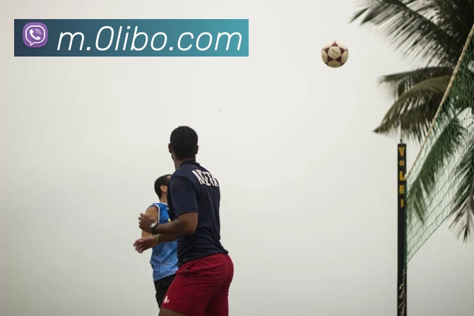 libo立博英国APP 封面图